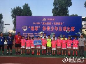 株洲星河小学校爆料新闻,揭秘校园风云录