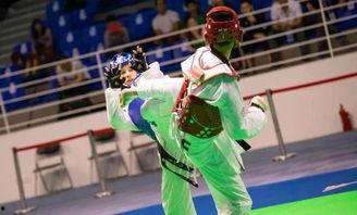 跆拳道腿法爆料视频大全,视频大全深度解析